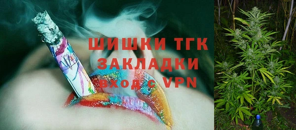 дживик Осинники