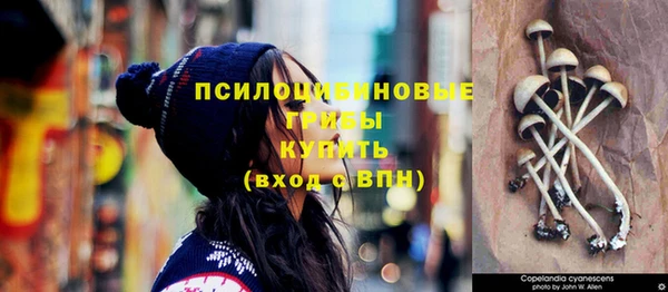 кокс Ветлуга