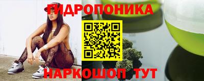 эйфоретик Гусь-Хрустальный